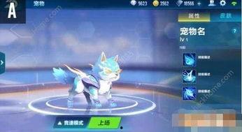 qq飞车宠物最新爆料,神秘宠物即将登场，激战赛道再添新伙伴！