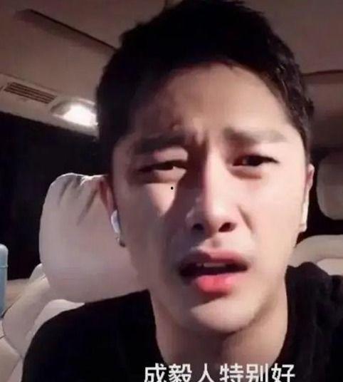 演员成毅最新爆料新闻,揭秘演艺圈幕后真相